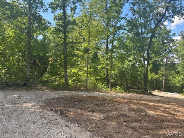 411 Hamilton Creek Dr, Union, MO 63084 - photo 7