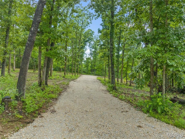 411 Hamilton Creek Dr, Union, MO 63084 - photo 1