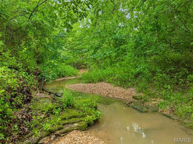 411 Hamilton Creek Dr, Union, MO 63084 - photo 4