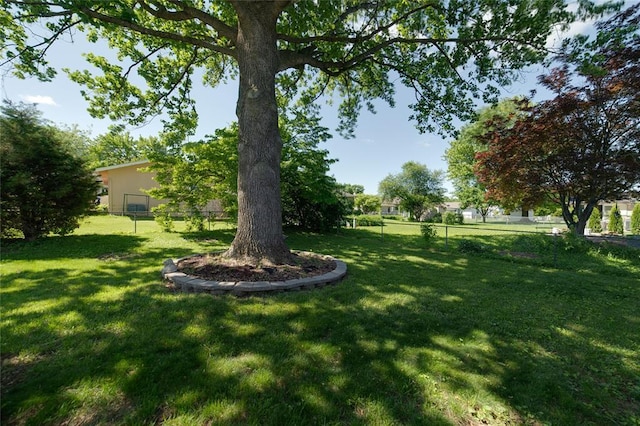 204 Chestnut Dr, Saint Charles, MO 63301 - view of yard