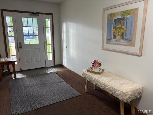 9608 Bent Pine Dr H, Unit H, MO 63126 - entryway with carpet flooring