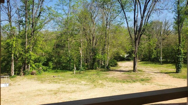 2357 Pine St, Centerville, MO 63633 - view of wooded area