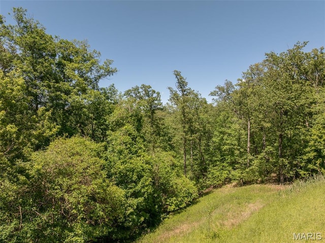 3840 Rooster Ridge Ln, Defiance, MO 63341 - photo 53