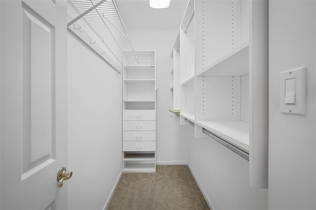 734 River Glen Dr, Ofallon, MO 63368 - walk in closet featuring carpet