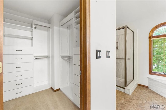 767 Carman Meadows Dr S, Manchester, MO 63021 - view of walk in closet