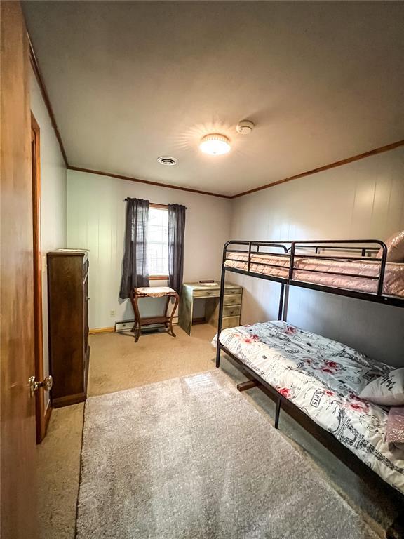 619 Cleveland St, Paris, MO 65275 - bedroom with light carpet and ornamental molding