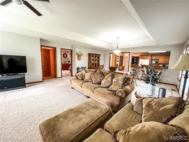 619 Cleveland St, Paris, MO 65275 - photo 21