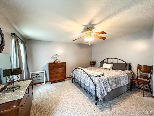 619 Cleveland St, Paris, MO 65275 - photo 24