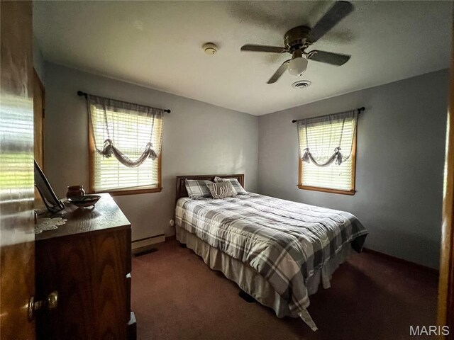 619 Cleveland St, Paris, MO 65275 - photo 32