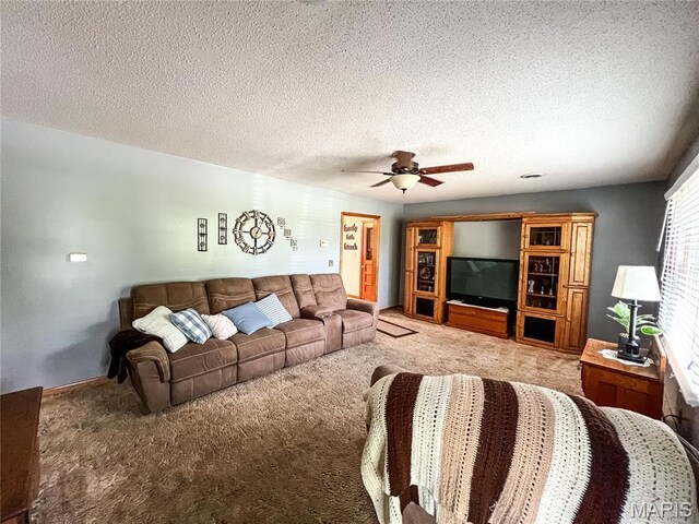619 Cleveland St, Paris, MO 65275 - photo 35