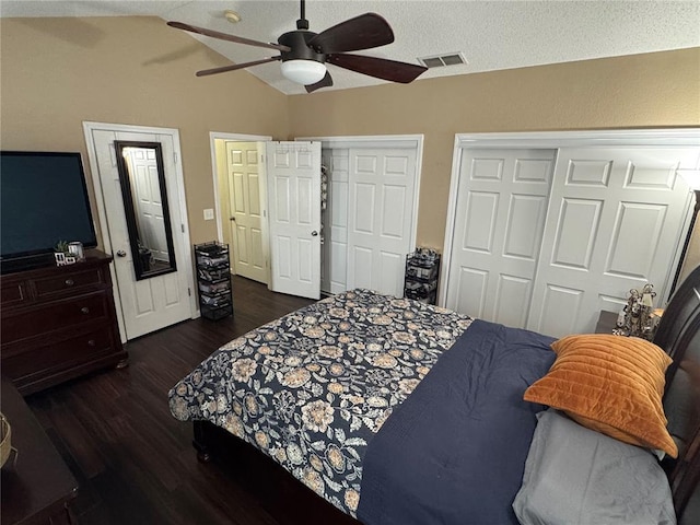 102 Riverview Bend Estates Dr, Crystal City, MO 63019 - bedroom featuring two closets, wood finished floors, vaulted ceiling, and ceiling fan