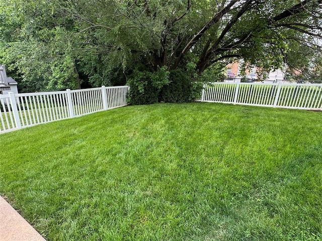 102 Riverview Bend Estates Dr, Crystal City, MO 63019 - view of yard