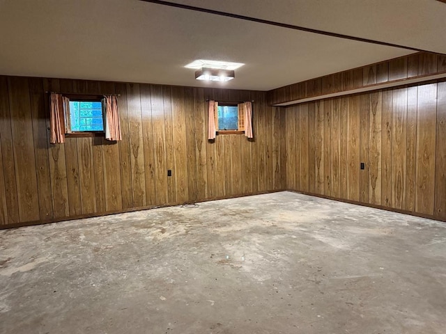 16463 Terrace Dr, Dexter, MO 63841 - below grade area with wooden walls
