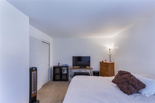 6691 Parker Rd Unit A, Florissant, MO 63033 - bedroom with carpet floors and a closet
