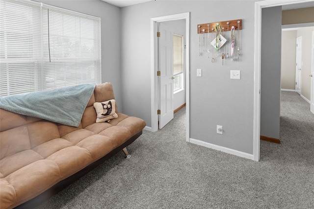 1519 Progress Ln, Belleville, IL 62221 - living area featuring carpet floors and baseboards