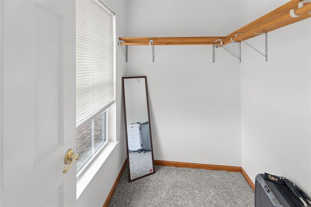 1519 Progress Ln, Belleville, IL 62221 - spacious closet featuring carpet
