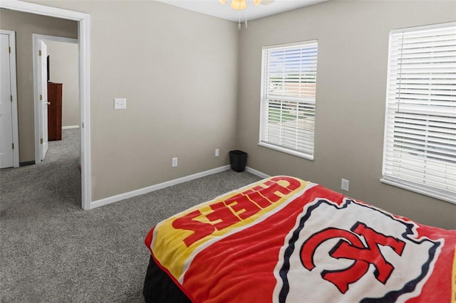 1519 Progress Ln, Belleville, IL 62221 - bedroom with carpet floors and baseboards