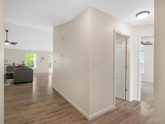 1109 Foxwood Estates Dr, Arnold, MO 63010 - hallway with wood finished floors and baseboards