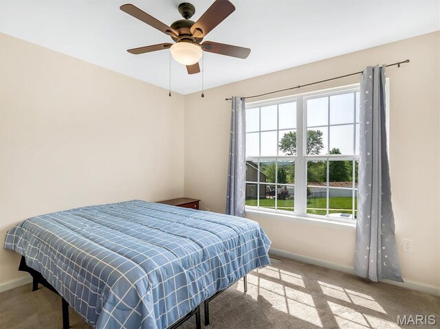 1109 Foxwood Estates Dr, Arnold, MO 63010 - carpeted bedroom with baseboards, multiple windows, and a ceiling fan