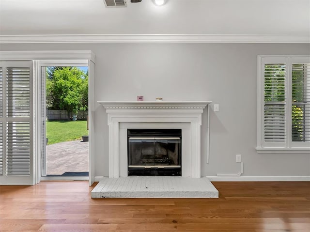 1102 Affirm Dr, Ofallon, IL 62269 - detailed view of ornamental molding, wood finished floors, baseboards, and a glass covered fireplace