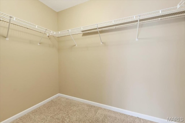 1423 Villas Estates Dr, Saint Louis, MO 63026 - walk in closet with carpet floors