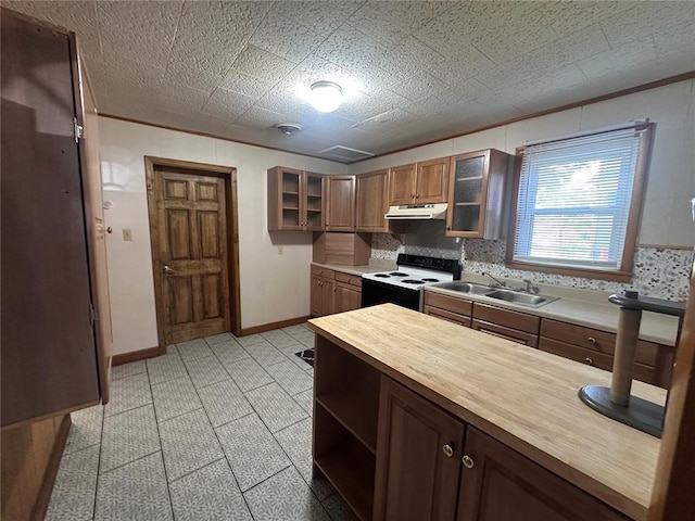 417 S Kingshighway St, Sikeston, MO 63801 - kitchen featuring electric range, a sink, wood counters, under cabinet range hood, and backsplash