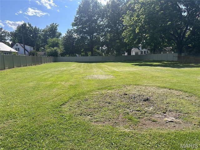 417 S Kingshighway St, Sikeston, MO 63801 - view of yard