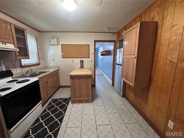 417 S Kingshighway St, Sikeston, MO 63801 - kitchen featuring range with electric cooktop, freestanding refrigerator, under cabinet range hood, wooden walls, and light countertops