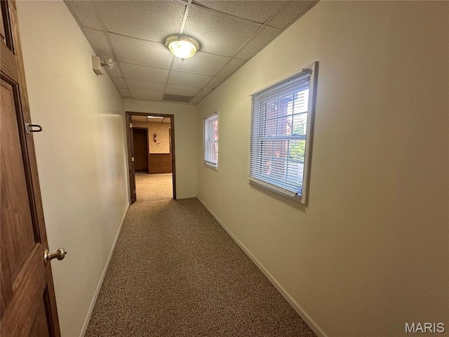 417 S Kingshighway St, Sikeston, MO 63801 - hallway with a paneled ceiling and carpet