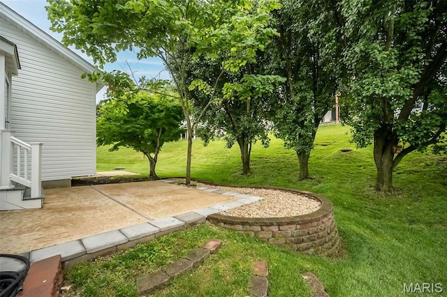 1105 Big Bend Crossing Dr, Manchester, MO 63088 - view of green lawn featuring a patio