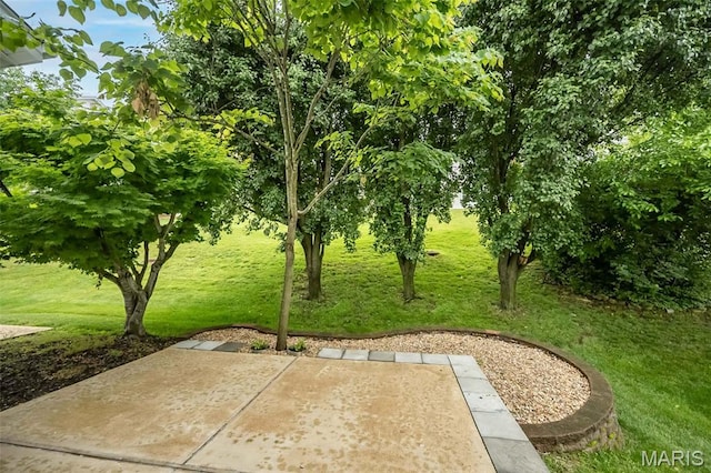 1105 Big Bend Crossing Dr, Manchester, MO 63088 - view of patio