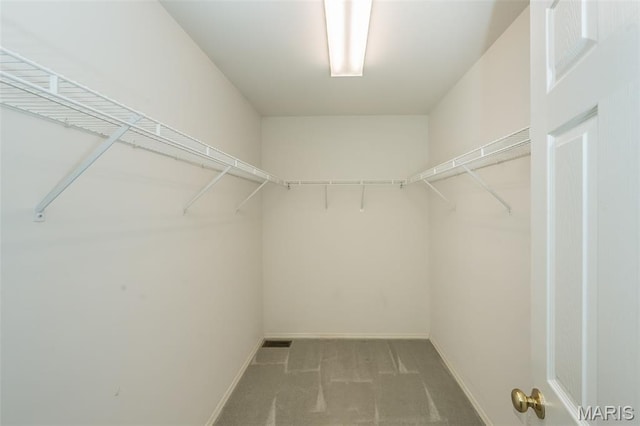 1105 Big Bend Crossing Dr, Manchester, MO 63088 - spacious closet with carpet flooring