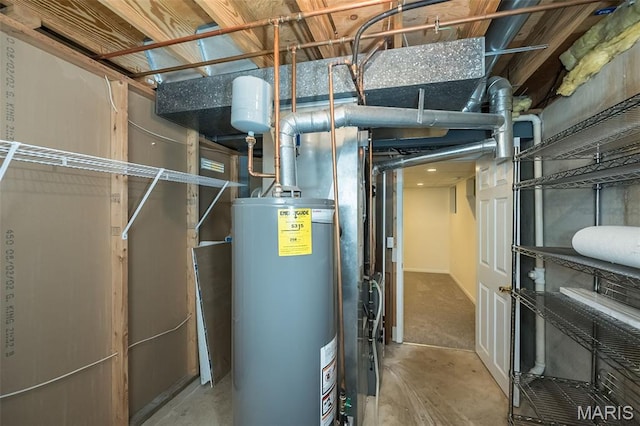 1105 Big Bend Crossing Dr, Manchester, MO 63088 - utility room with gas water heater
