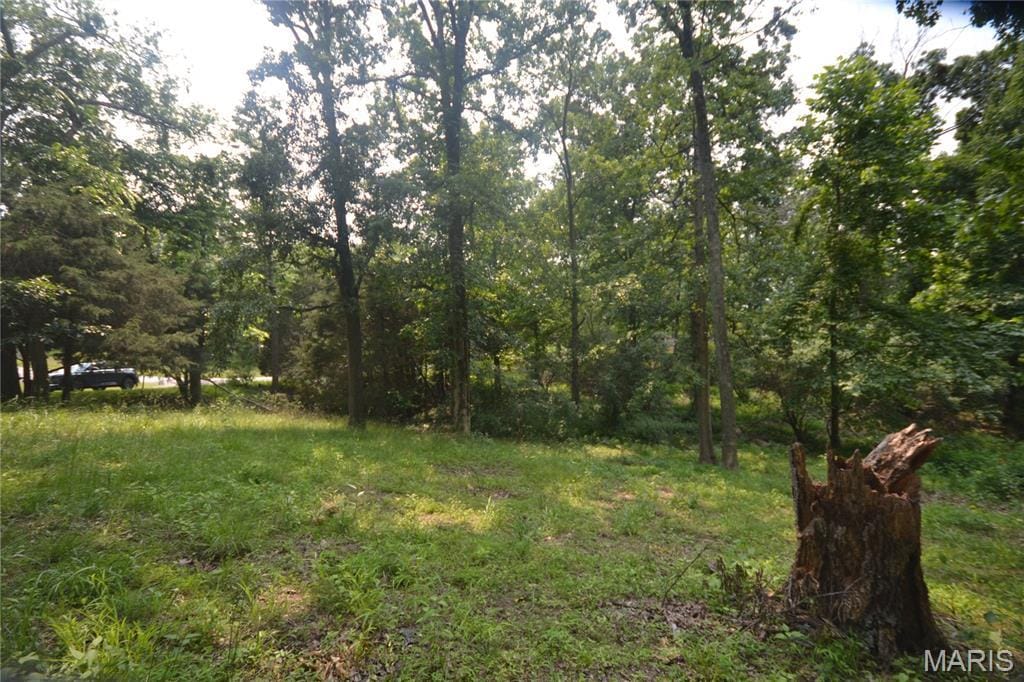0000 Mckinney Chapel Rd, Marion, IL 62959 - photo 1