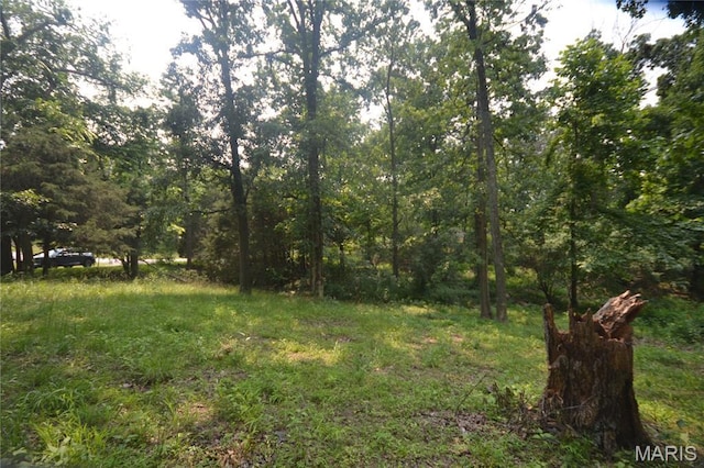 0000 Mckinney Chapel Rd, Marion, IL 62959 - photo 1