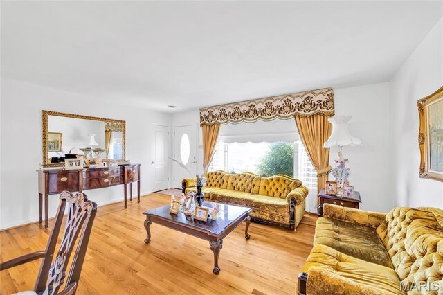 8967 New Sappington Rd, Crestwood, MO 63126 - living room featuring light wood finished floors