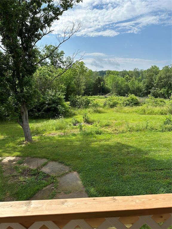 91 Wayne 454, Piedmont, MO 63957