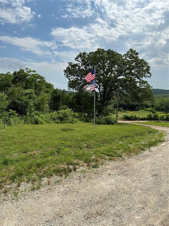 91 Wayne 454, Piedmont, MO 63957