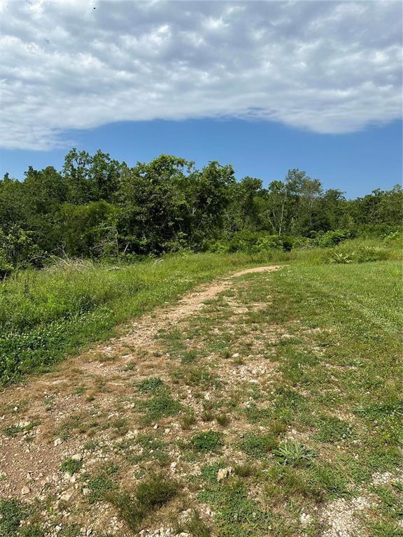 91 Wayne 454, Piedmont, MO 63957