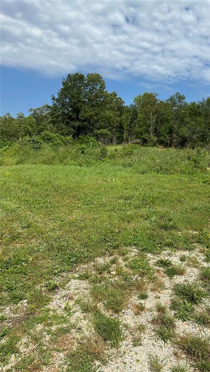 91 Wayne 454, Piedmont, MO 63957
