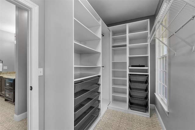 1014 Trailridge Dr, Jackson, MO 63755 - spacious closet with light floors