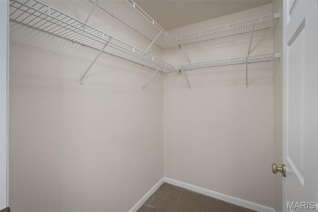 160 Brandy Mill Cir Unit 7C, High Ridge, MO 63049 - spacious closet with dark colored carpet