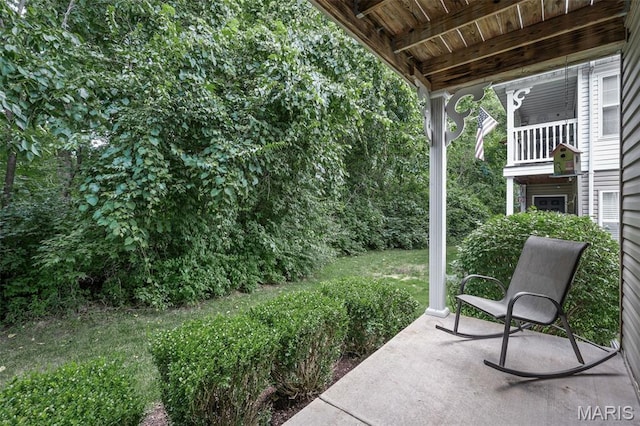 160 Brandy Mill Cir Unit 7C, High Ridge, MO 63049 - view of patio