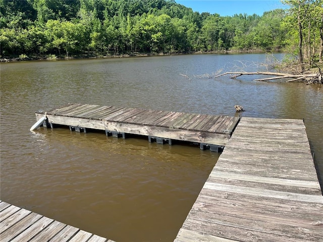 194 Craft Subdivision Rds, Greenville, MO 63944 - dock area featuring a water view