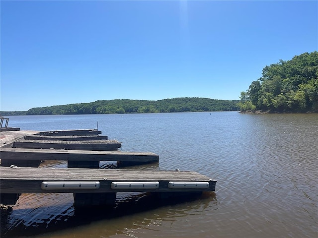 194 Craft Subdivision Rds, Greenville, MO 63944 - dock featuring a water view and a wooded view