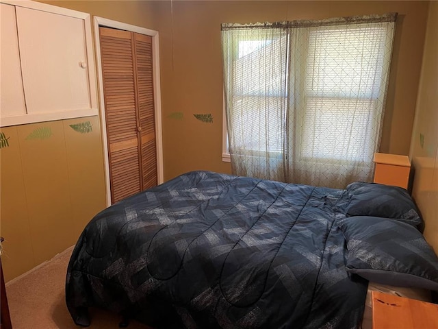 194 Craft Subdivision Rds, Greenville, MO 63944 - carpeted bedroom with a closet