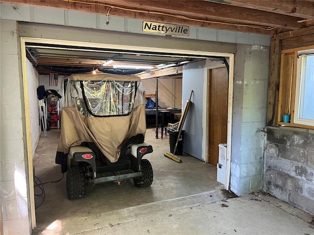 194 Craft Subdivision Rds, Greenville, MO 63944 - view of garage