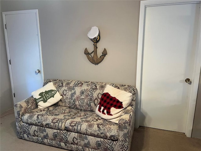 194 Craft Subdivision Rds, Greenville, MO 63944 - living area with carpet floors