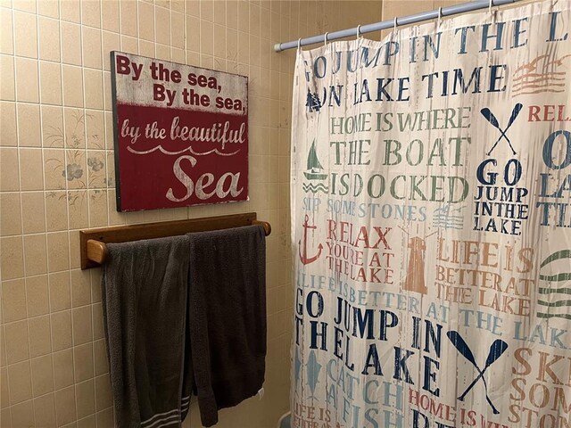 194 Craft Subdivision Rds, Greenville, MO 63944 - view of bathroom