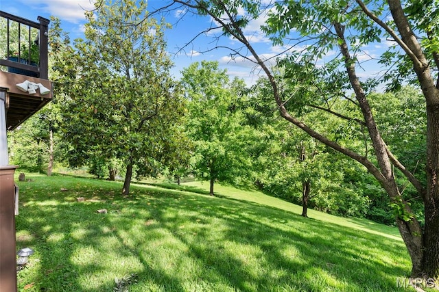 2854 Championship Blvd, Saint Louis, MO 63129 - view of grassy yard
